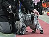 IMG_6069.JPG