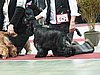 IMG_6074.JPG