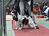 IMG_6083.JPG