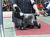 IMG_6087.JPG
