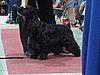 IMG_6088.JPG