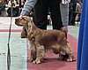 IMG_6091.JPG