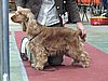 IMG_6092.JPG