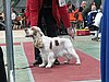 IMG_6096.JPG