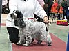 IMG_6097.JPG