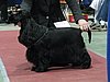 IMG_6099.JPG