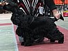 IMG_6104.JPG