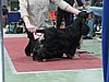 IMG_6108.JPG