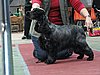 IMG_6113.JPG