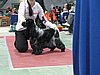 IMG_6116.JPG