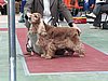 IMG_6122.JPG