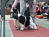 IMG_6127.JPG