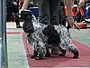 IMG_6129.JPG