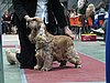 IMG_6132.JPG