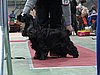 IMG_6133.JPG