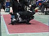 IMG_6142.JPG