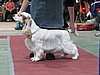 IMG_6145.JPG