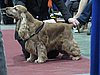 IMG_6147.JPG
