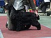 IMG_6148.JPG