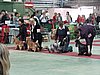 IMG_6151.JPG