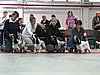 IMG_6170.JPG
