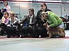 IMG_6171.JPG