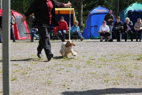 IMG_3940.JPG