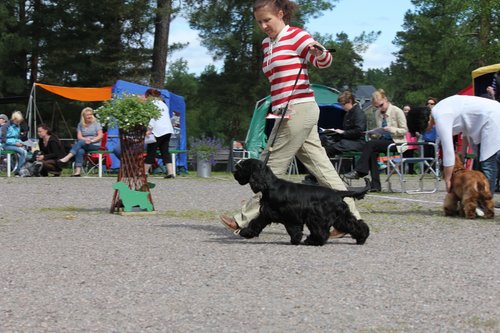 IMG_3953.JPG