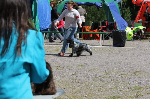 IMG_4064.JPG