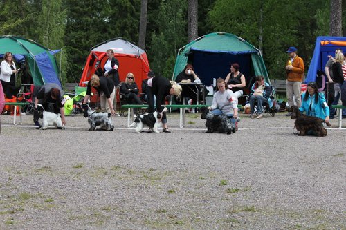 IMG_4084.JPG