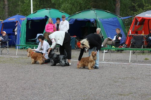 IMG_4096.JPG