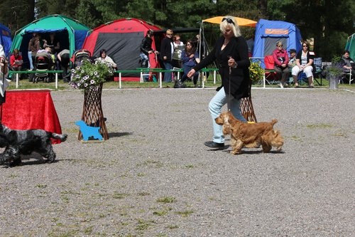 IMG_4105.JPG