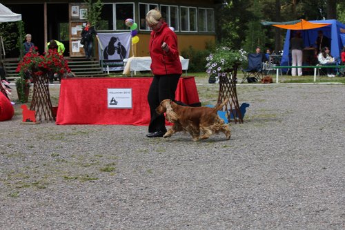IMG_4117.JPG
