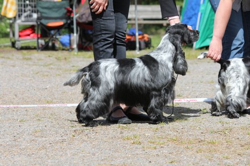 IMG_4152.JPG