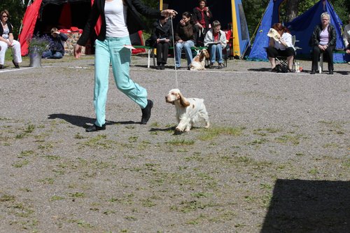 IMG_4232.JPG