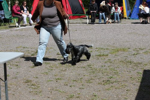 IMG_4235.JPG