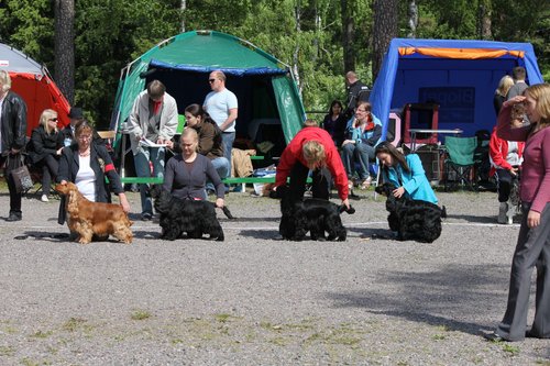 IMG_4261.JPG