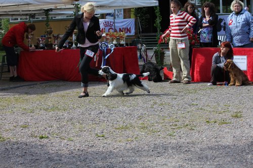 IMG_4278.JPG