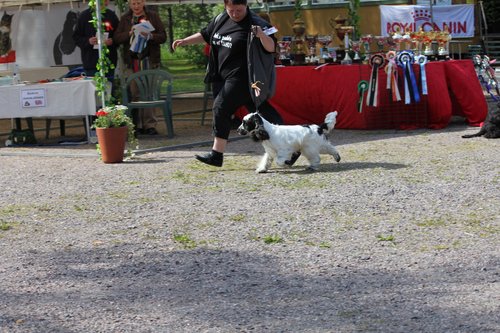 IMG_4281.JPG