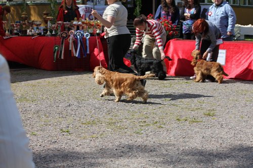 IMG_4288.JPG