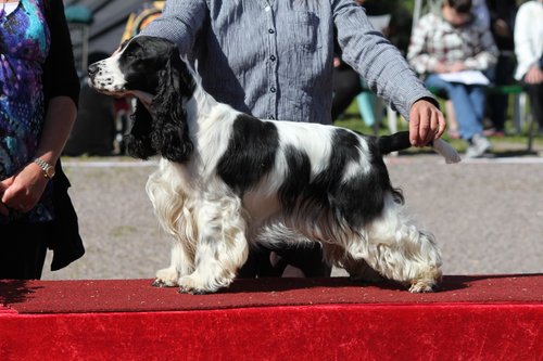IMG_4361.JPG