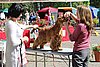 IMG_3871.JPG