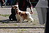 IMG_3872.JPG
