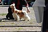 IMG_3873.JPG