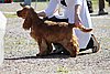 IMG_3874.JPG