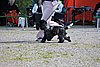 IMG_3876.JPG