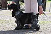 IMG_3883.JPG