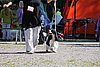 IMG_3886.JPG