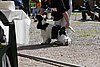 IMG_3889.JPG