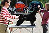IMG_3890.JPG